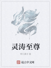 小说：灵涛至尊，作者：青石夏谷