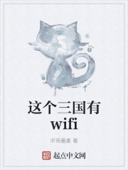 小说：这个三国有wifi，作者：听雨墨篆