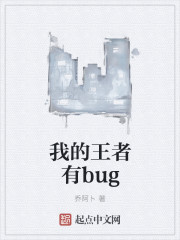 小说：我的王者有bug，作者：乔阿卜