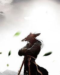 我带着女神求生完结全本